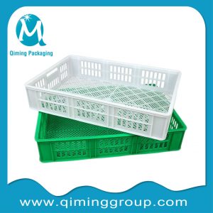 Plastic vented blueberry trays