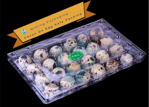 Qiming plastic quail egg tray