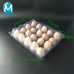 20pcs clear plastic egg tray