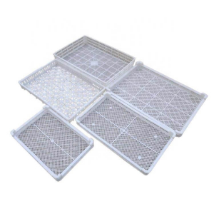 food industry refrigeration Sea urchin squid fish seafood freezing plastic tray